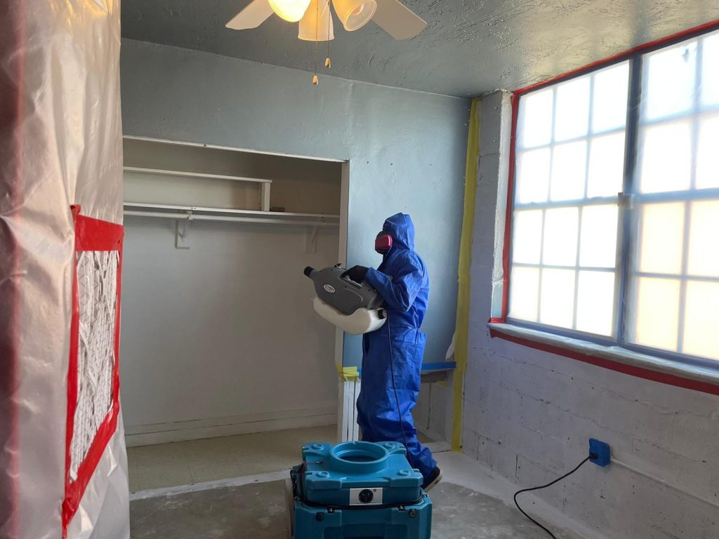 Technician performing mold removal on an interior wall