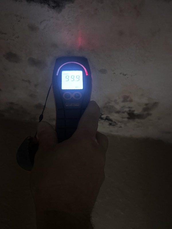 How Professional Water Damage Restoration Prevents Mold Growth